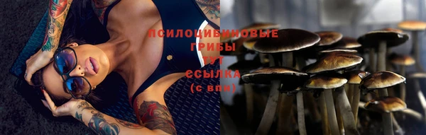 скорость Алексин
