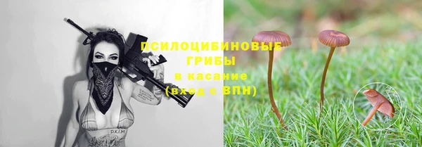 а пвп мука Арсеньев