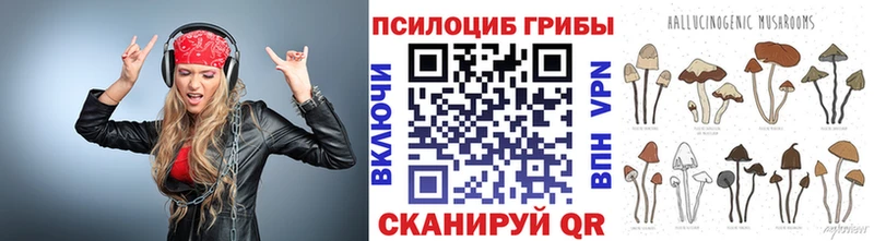 цена   Ачхой-Мартан  Псилоцибиновые грибы мухоморы 